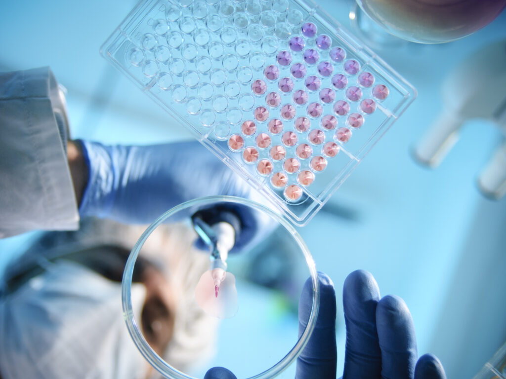 A scientist using a pipette with a microtiter plate