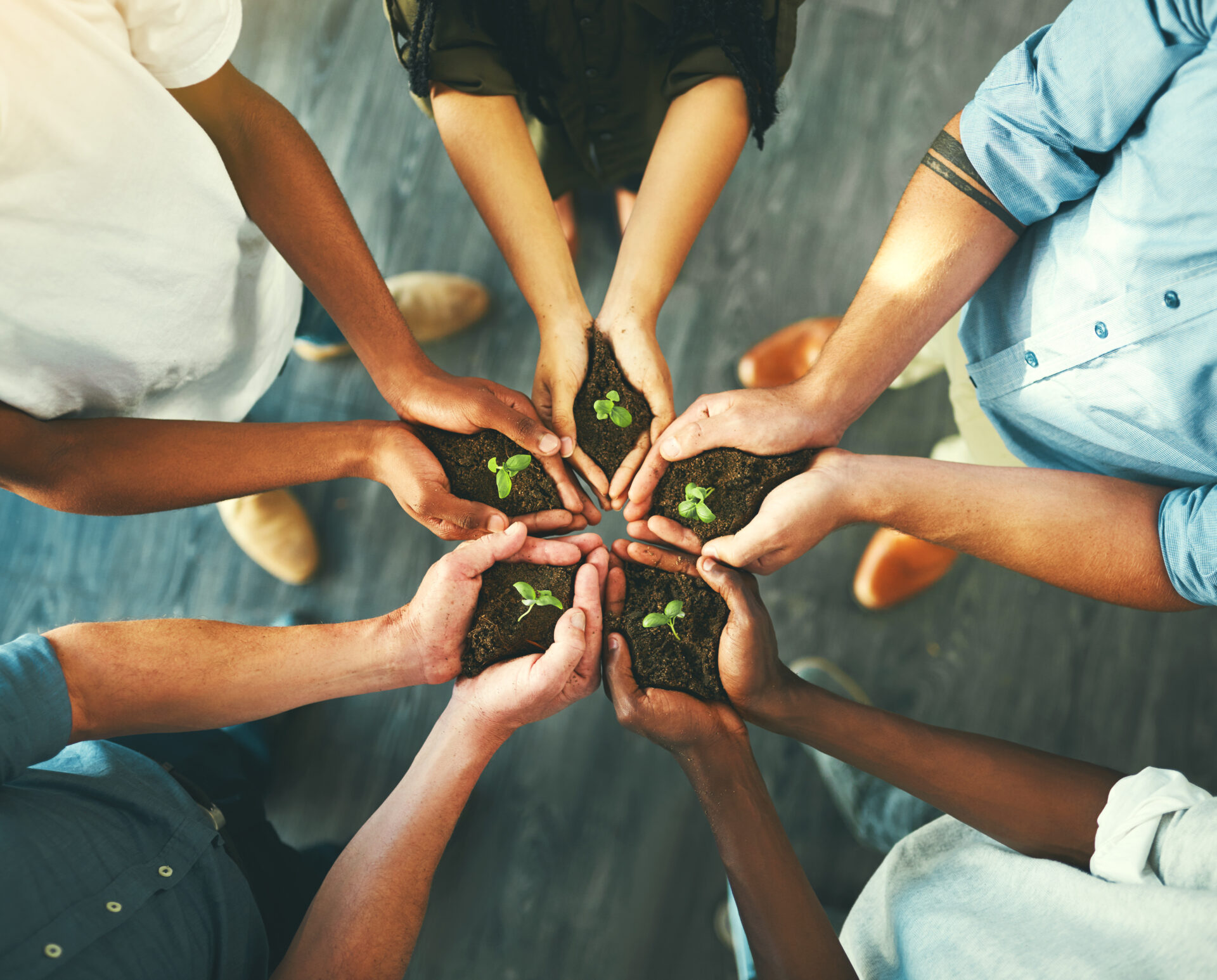 group-of-gcc-individuals-holding-plants-growing-out-of-soil-for-environmental-restoration