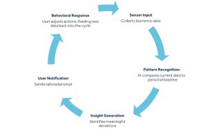 how-wearables-are-shaping-preventative-health